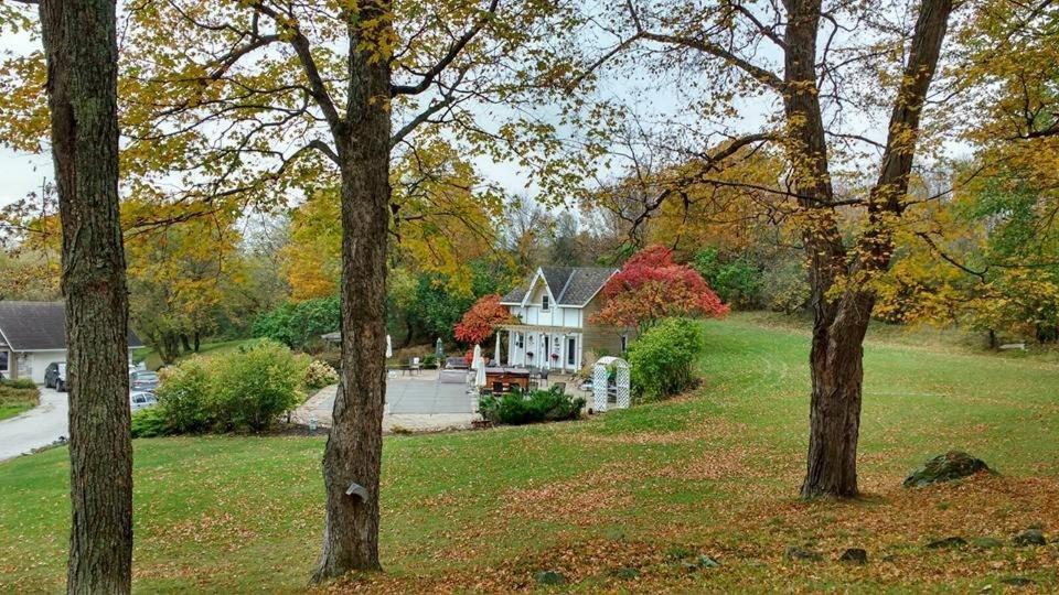 Clyde Hall Bed And Breakfast Lanark Exterior photo